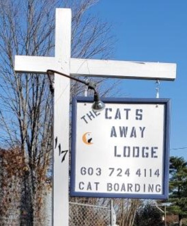 Picture of cat condos for boarding